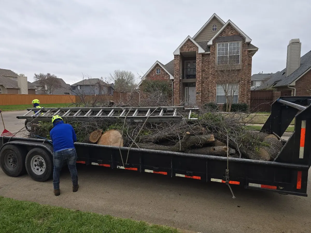 Expert Tree Fertilization with proper safety equipment in Highspire